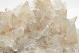 Pale-Yellow, Dogtooth Calcite Crystal Cluster - Pakistan #221364-1